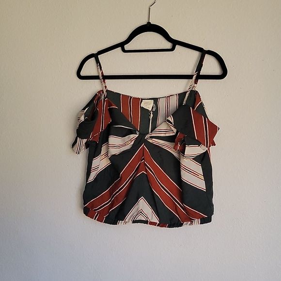 NWT BLUSH BJ croptop size M low vneck - Picture 2 of 15